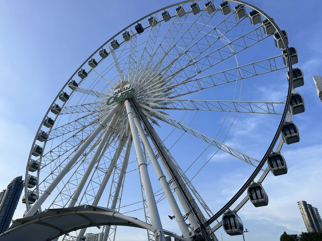AA7B383F-BC2B-4E03-8243-0772EF409096_1_105_c.webp