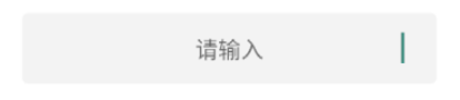 input_caret_issue.png